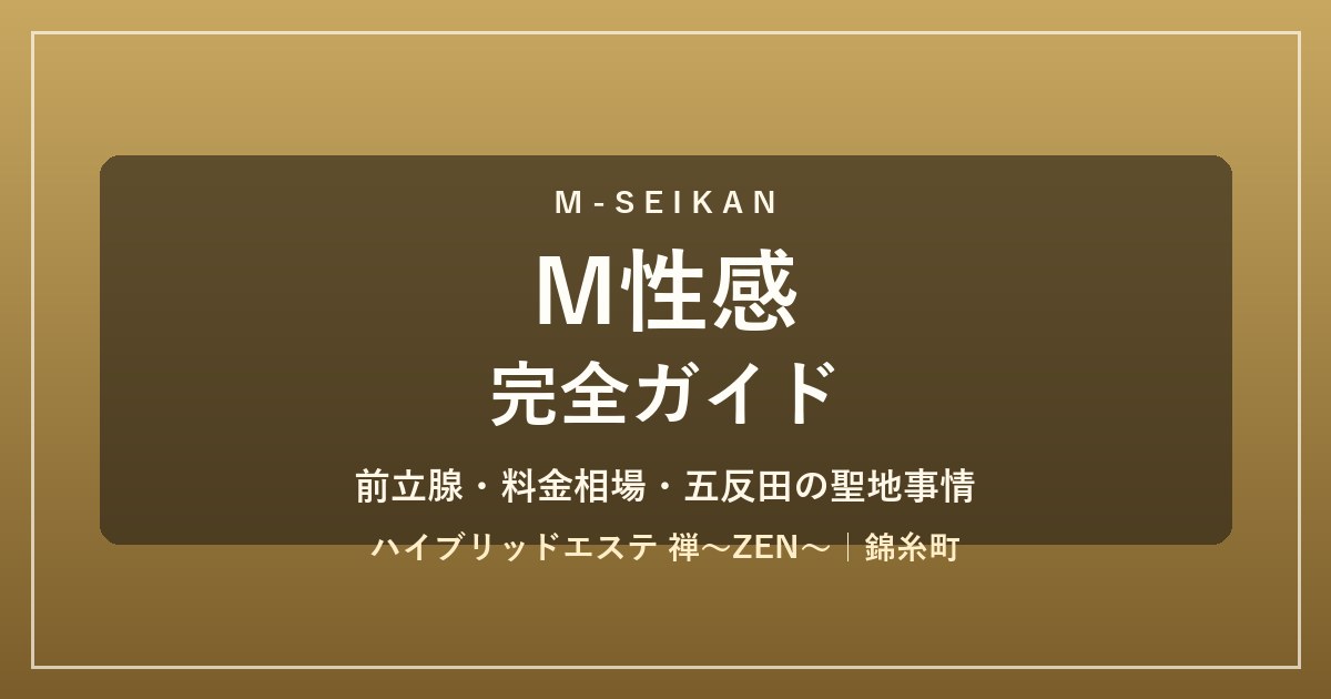 M性感 完全ガイド